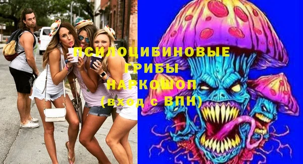 гашик Абинск