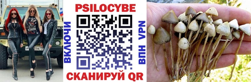 купить наркоту  Александровск  Псилоцибиновые грибы Magic Shrooms 